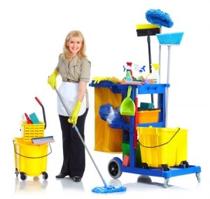 Cleaners Warbreck: Domestic cleaning