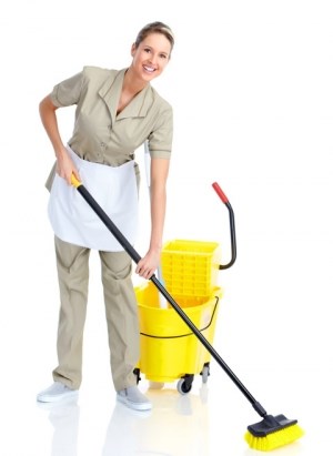 Cleaners Warbreck: Domestic cleaning