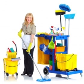 Cleaners Warbreck: Domestic cleaning